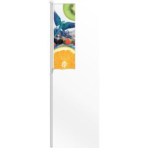 Show Home Flag Pole 8m