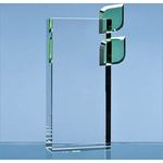 22cm Optical Crystal Eco Excellence Award with Double Green Leafs