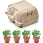 Egg Carton Growing Kit