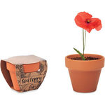 Terracotta Pot 'Poppy'