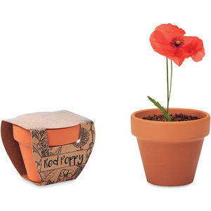 Terracotta Pot 'Poppy'