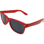 Sunglasses - Child Size