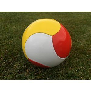 6 Panel Football (Size 5)