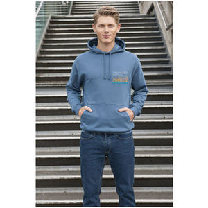 AWDis College Hoodie - Coloured