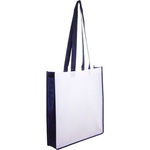 Non-Woven Bag with Coloured Gusset