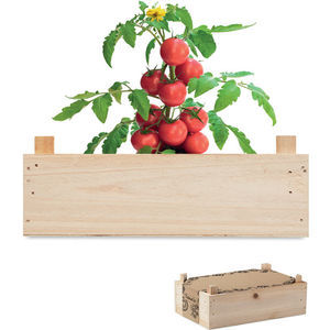 Tomato Kit In Wooden Crate