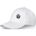 Elevate Life Davis 6 panel cap