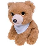 Plush teddy bear  Shaggy