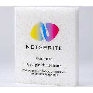 15cm x 12.5cm x 2.5cm 100% Recycled Acrylic Rectangle Award