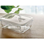 Glass Lunchbox & PP Lid 900Ml