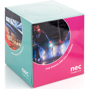 Box of 100 2-Ply White Tissues in Printed Box