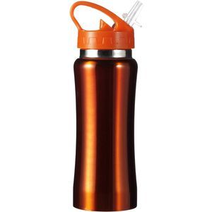 Steel drinking bottle (600ml)