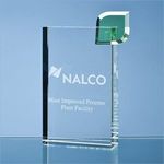 17cm Optical Crystal Eco Excellence Award with a Single Green Leaf