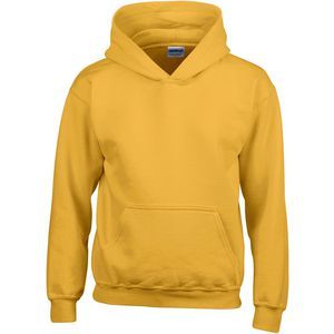 Childrens Hooded Sweatshirt