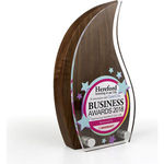 Large Real Wood Block Awards with Acrylic Face Plate - Simple Shapes