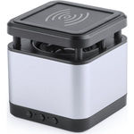 Speaker Propux