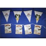 Promotional PVC Bunting