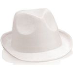 Polyester Hat