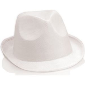 Polyester Hat