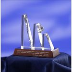Courage & Perseverance Award