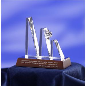 Courage & Perseverance Award