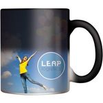 Chameleon  Mug (Full Colour Print)