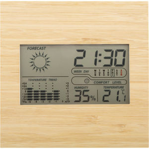 Boocast bamboo weather station