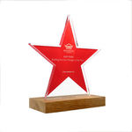 Bespoke Shaped Acrylic Awards with Real Wood Base - Medium