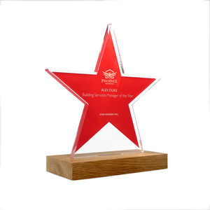 Bespoke Shaped Acrylic Awards with Real Wood Base - Medium