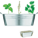 Zinc Tub With 3 Herbs Seeds
