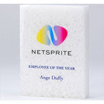 20cm x 17.5cm x 3cm 100% Recycled Acrylic Rectangle Award