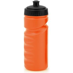 Sports Bottle