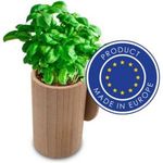 Wooden flower pot basil seeds and soil