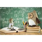 Plush owl pillow  Professowl
