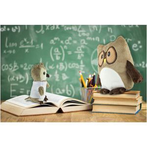 Plush owl pillow Professowl