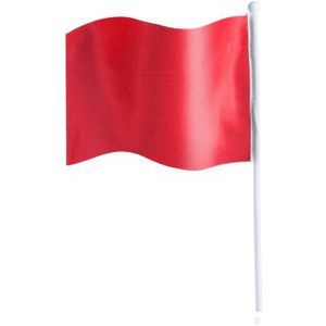 Flag on Stick