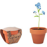 Terracotta Pot 'Forget Me Not'