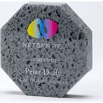 10cm x 10cm x 2cm 100% Recycled Acrylic Octagon Award