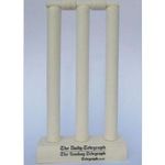 Mini Cricket Stumps