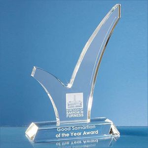 25cm Optical Crystal 'Tick' Award