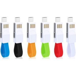 Dual Keyring Charger