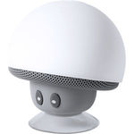 Wanap bluetooth speaker