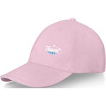 Elevate Life Darton 6 panel sandwich cap