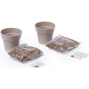Herb garden set 2 flower pots and seeds