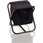 Cooler bag and chair