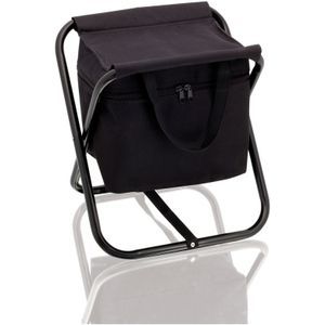 Cooler bag and chair