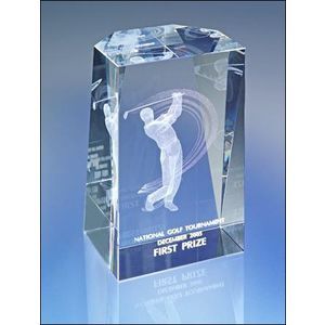 3d Laser Engraved Showcase Award
