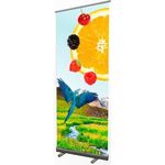 Extra Small Grey Backed PVC Roller Banner