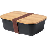 Thadan lunch box