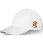 Elevate Life Drake 6 panel trucker cap